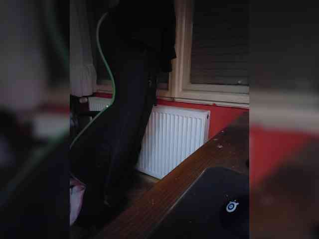 Bumslaappaa