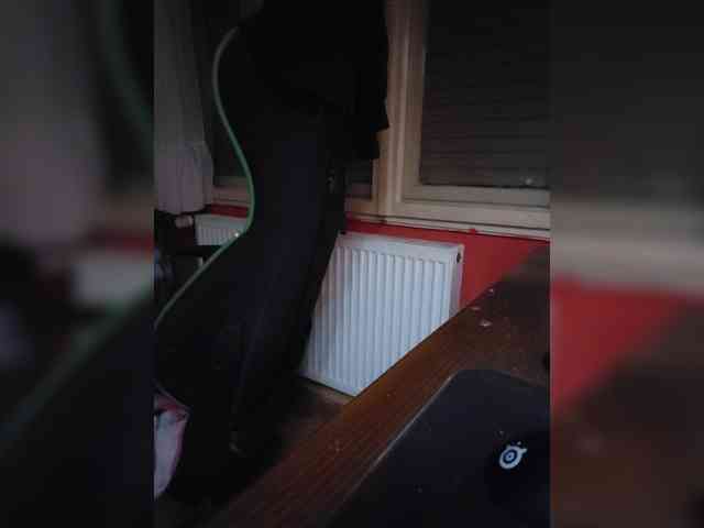 Bumslaappaa