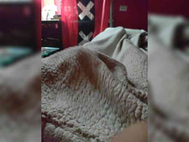 Bumslaappaa