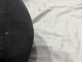 StellaFish69 Porn Show