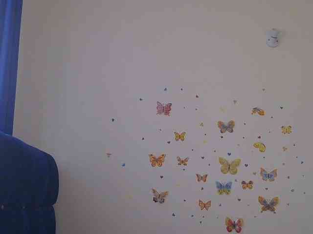 KittyKissess