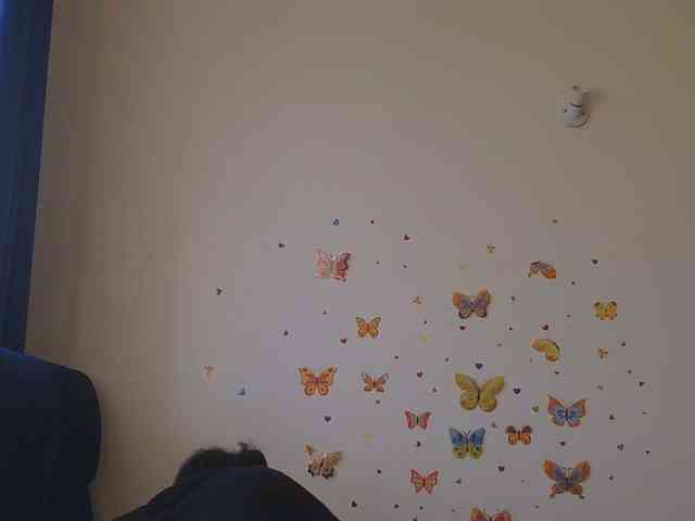 KittyKissess