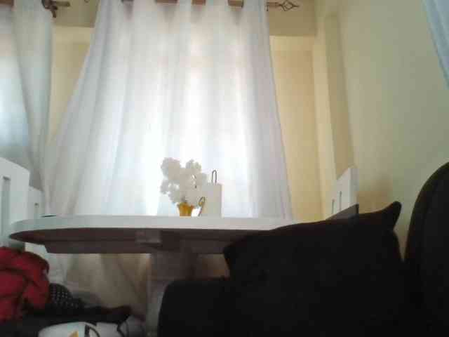 Kyaa webcam