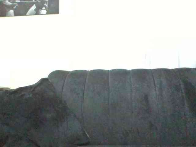 Kyaa webcam