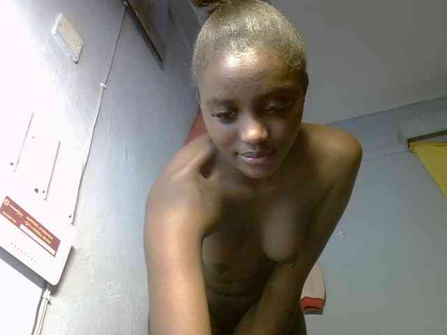 Untamed2 webcam