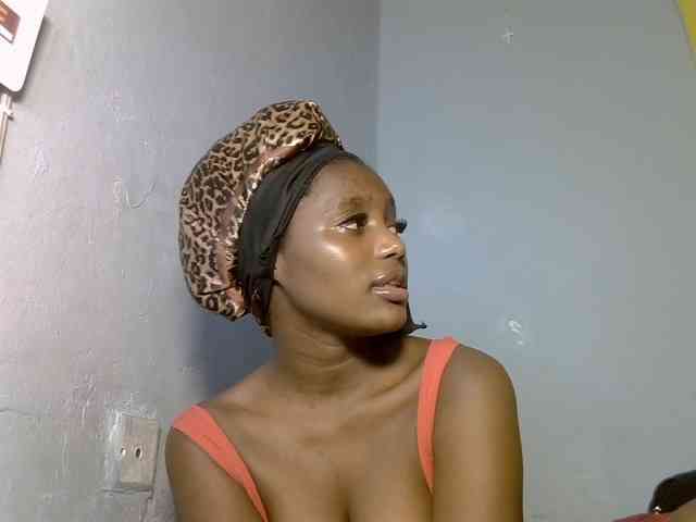 Untamed2 webcam