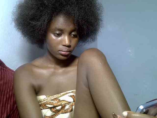 Untamed2 webcam
