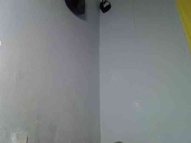 Untamed2 webcam