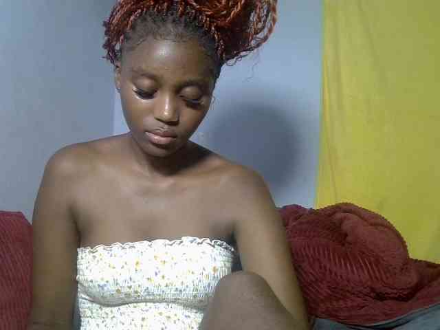 Untamed2 webcam
