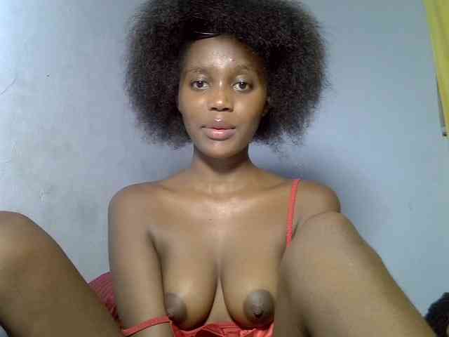 Untamed2 webcam