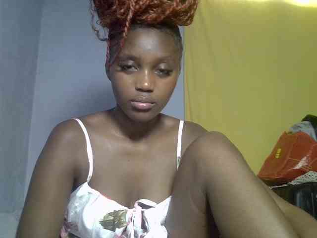 Untamed2 webcam