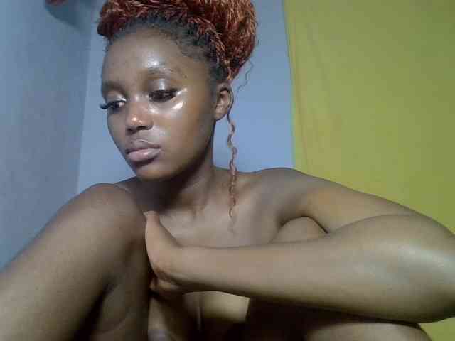 Untamed2 webcam