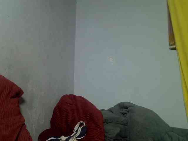 Untamed2 webcam