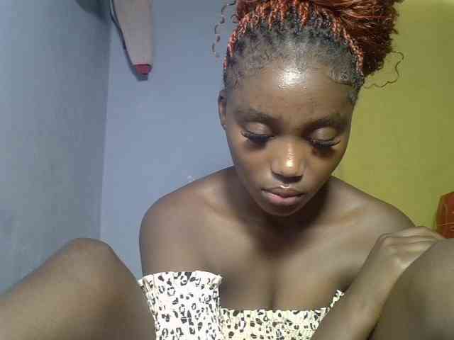 Untamed2 webcam