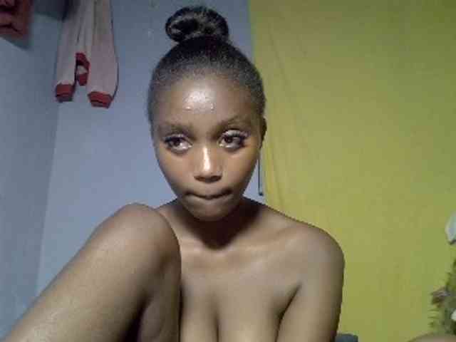 Modelo: Untamed2