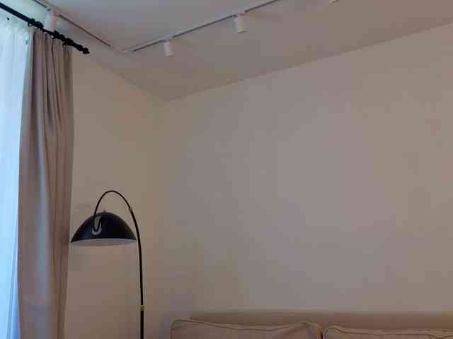 LittleForestELF2 webcam