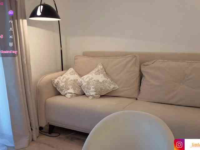 LittleForestELF2 webcam