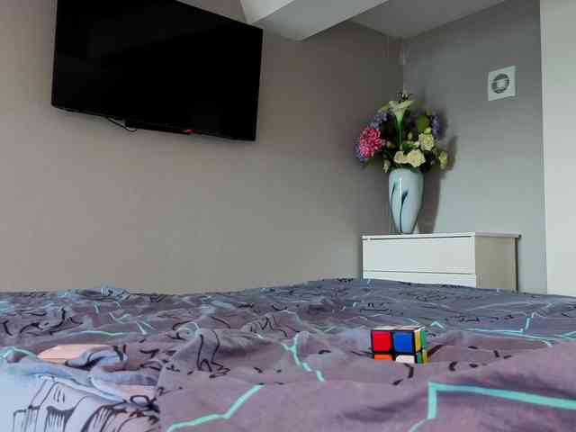 LittleForestELF2 webcam
