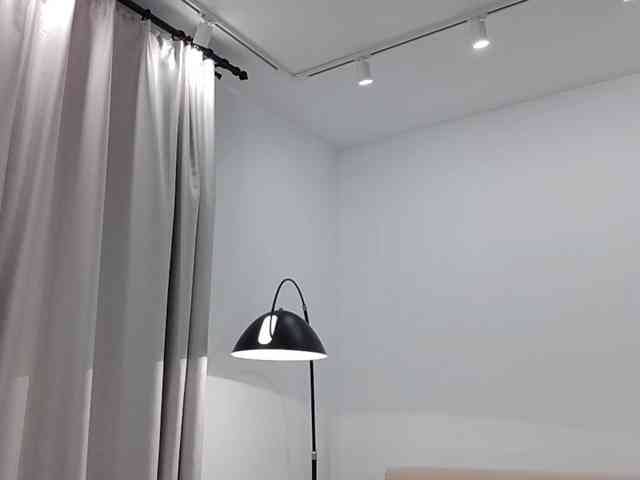 LittleForestELF2 webcam