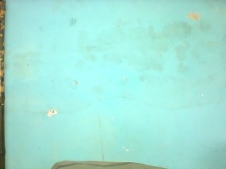 Phazylla's Live Webcam