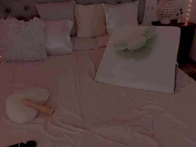 lau123 webcam