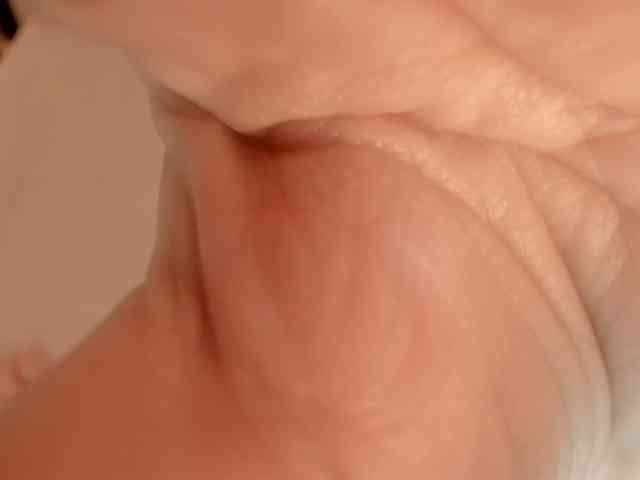 lau123