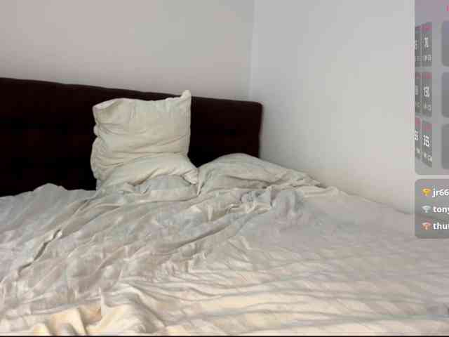 EvaRenard webcam
