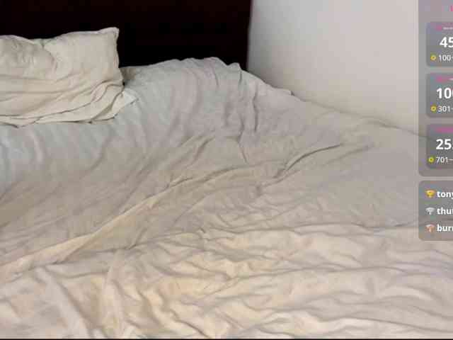 EvaRenard webcam