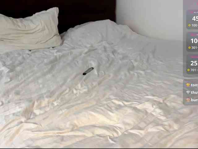 EvaRenard webcam