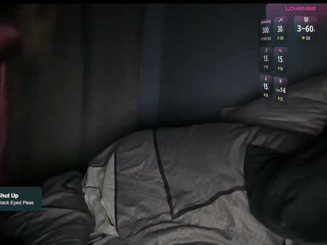 Lady-not-shy live cam on BongaCams
