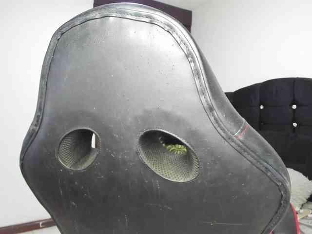 SamanthaRosse01 webcam