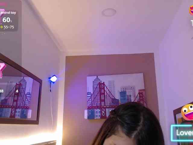 Moonna-linnda webcam