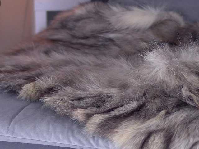TSGisele