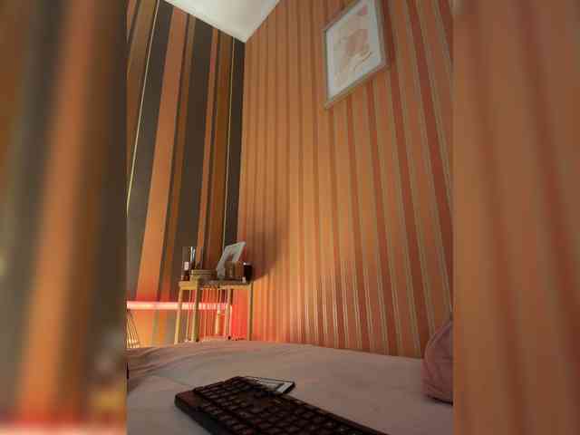 MonaVine webcam