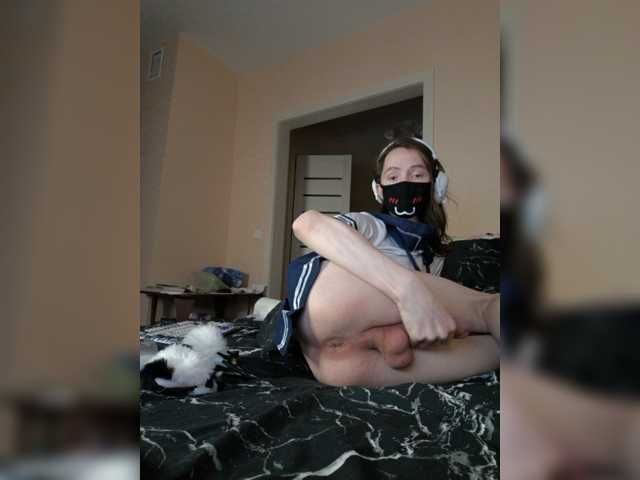 catonavaFEM