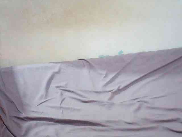 Prettybarbra webcam