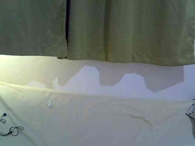 Prettybarbra webcam