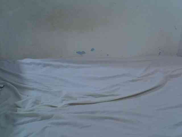 Prettybarbra webcam