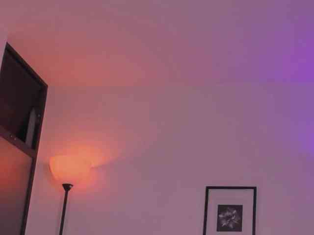 meganlake webcam
