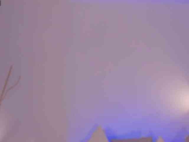 meganlake webcam