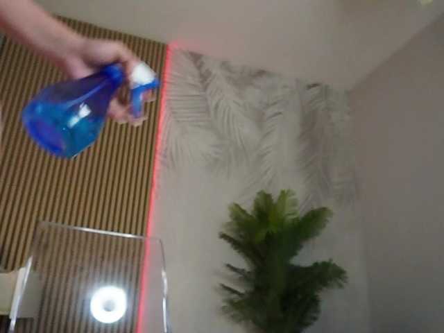 IceBlueBabe live cam on BongaCams