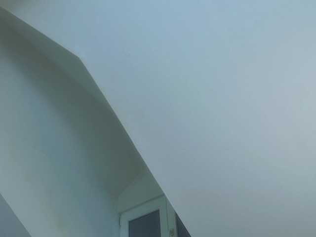 IceBlueBabe live cam on BongaCams