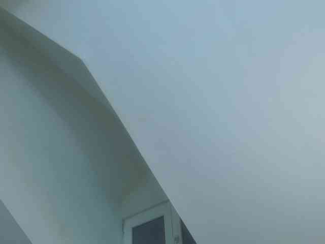 IceBlueBabe