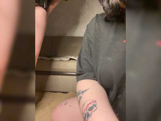 Sosnikers live cam