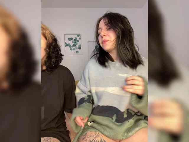 Sosnikers webcam