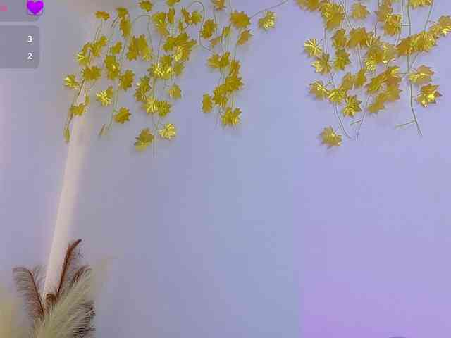 Ambar-Carter webcam