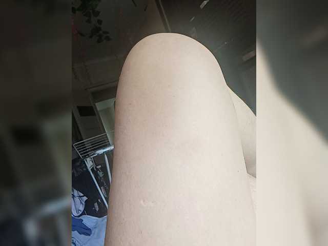 Notordam