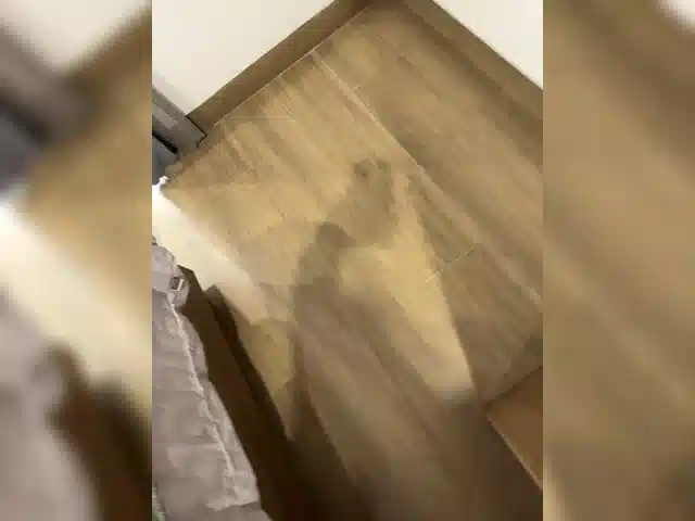 fi7h