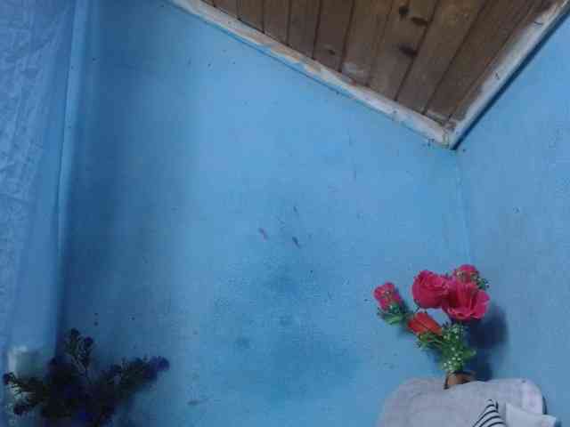 Ornela1 webcam