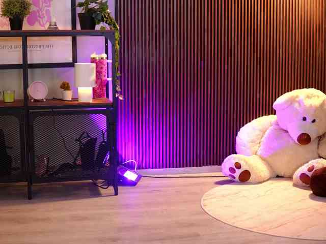 LenaLaurent webcam